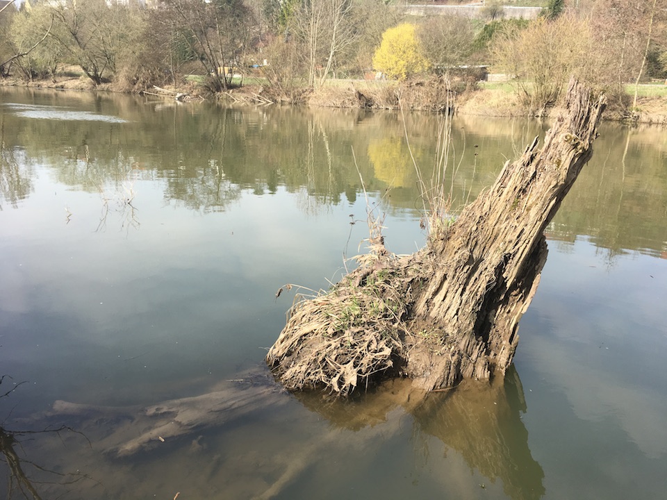 Hängerträchtige und Fischverdächtige Bereiche zieren diesen Fluss